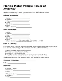 Free Motor Vehicle Power of Attorney Form for Florida State